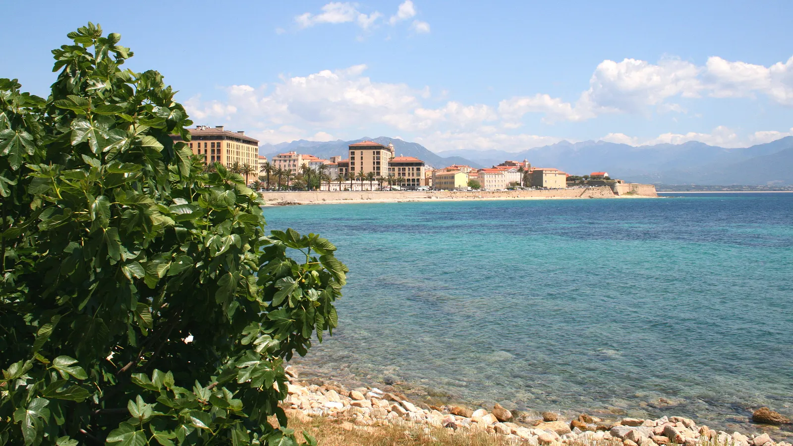 Façades de la vieille ville d'Ajaccio